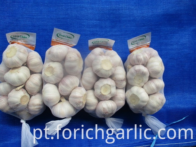 Size 5 0 New Crop Normal White Garlic